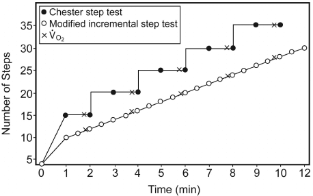 graph for chester step test calculations